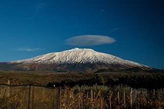 A casa di Norma