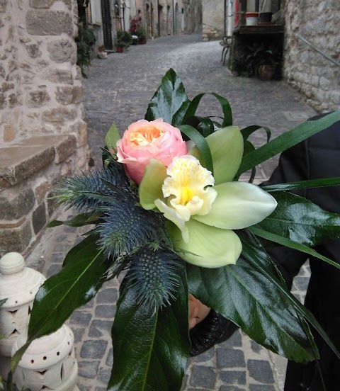 Piante e fiori perfetta letizia