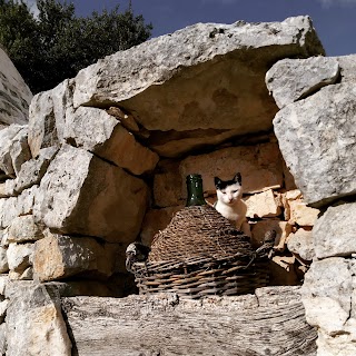 B&B Masseria Trulli Sull'Aia