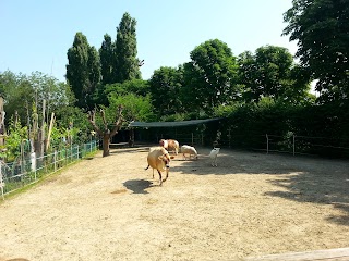 Circolo La Fattoria