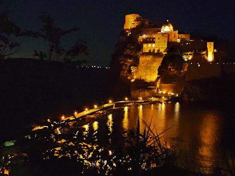 Lunaria Ischia