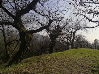 La Casa della Natura (G.I.A.N.)