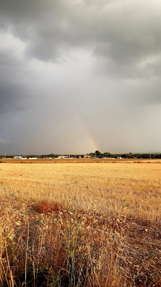 Masseria san Vito