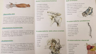 Fisioterapista-Osteopata Marco Zantedeschi