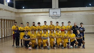 Apsia Sport Club 1981 Volley Academy Roma