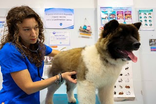 Ambulatorio Veterinario Bracciano