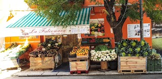 La Falconara Ortofrutta