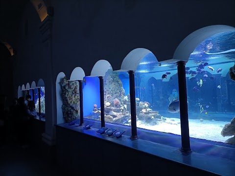 Acquario di Napoli