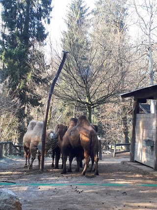 Živalski vrt-ZOO