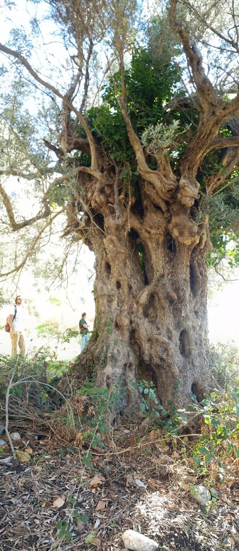 Agriturismo Masseria La Chiusa