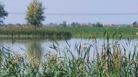 Parco umido della Tomina