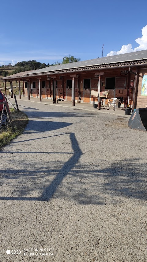 A.S.D. Centro Ippico Fontevivola Ranch