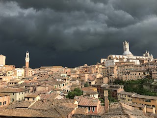 Francesco Cottini - Consulente Finanziario Widiba Siena