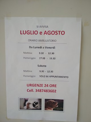 Ambulatorio Veterinario Dott. V. Zaniboni - Reperibilità 24h