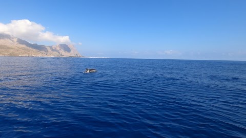 Mare and More -Escursioni in barca da San Vito Lo Capo