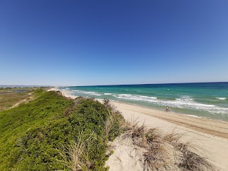 Parco Naturale Regionale Dune Costiere da Torre Canne a Torre San Leonardo