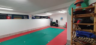 Dojo Gym