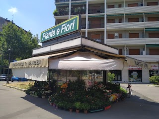 Piante e Fiori "Piazza C. Caneva"