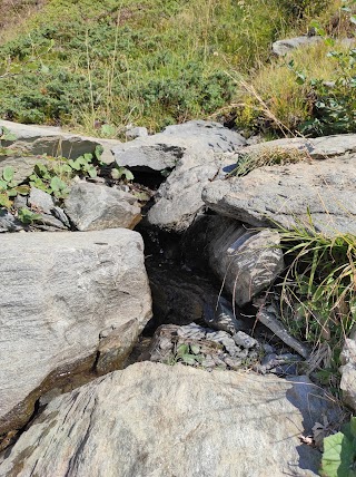 Parco delle Orobie Valtellinesi