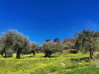 A casa di Natalia