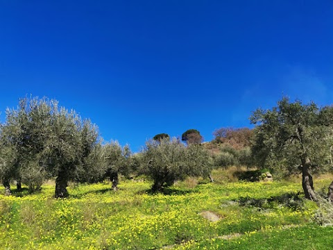 A casa di Natalia