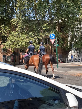 Stazione Taxi Gioachino Belli