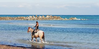 CEAS Centro Equitazione AltoSalento