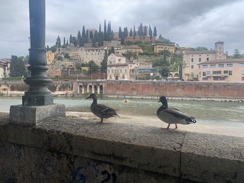 Associazione Guide Turistiche Autorizzate Di Verona