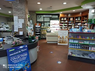 Farmacia Della Scimmia