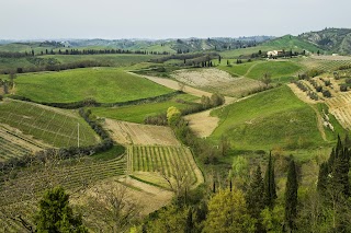 Bassetto Guesthouse & Apartments