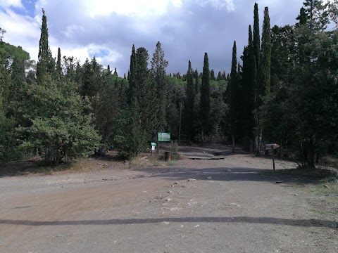 Parco Avventura Vincigliata