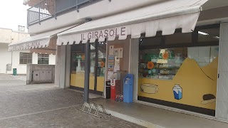 Panetteria e Salumeria Il Girasole