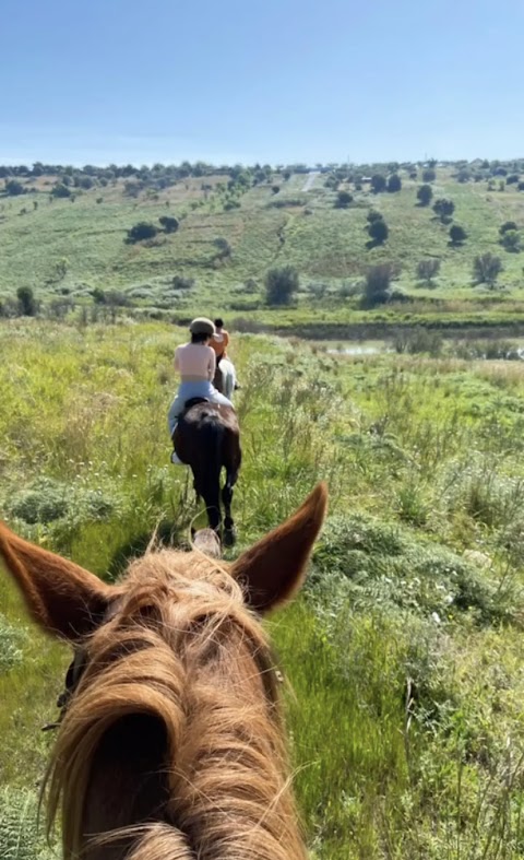 Maneggio Scuola Equitazione Passeggiate a Cavallo Vento Dell'Est