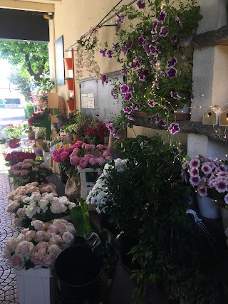 Flowershop Maria Rosa