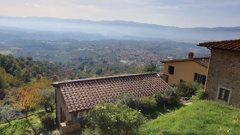 Podere Ager Mentis Di Sinibaldi A.