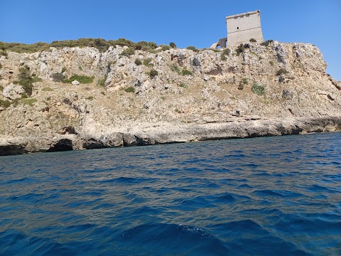 Riviera di Ponente - naturadalvivo.it