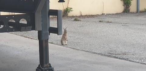 Poste Italiane