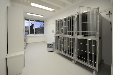 Clinica Veterinaria Firenze Sud - Pronto soccorso 24h