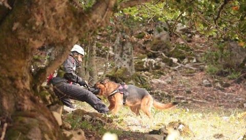 Centro Cinofilo Dogs & Co. Academy asd