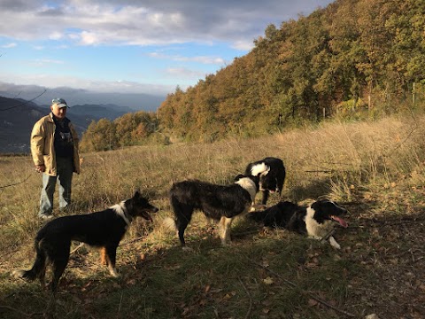 Pensione per Cani Arcobaleno Bologna