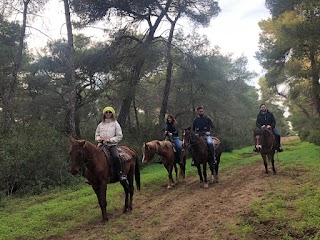 ASD APS Family Horses centro equestre