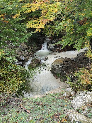 Bosco di Mangalaviti