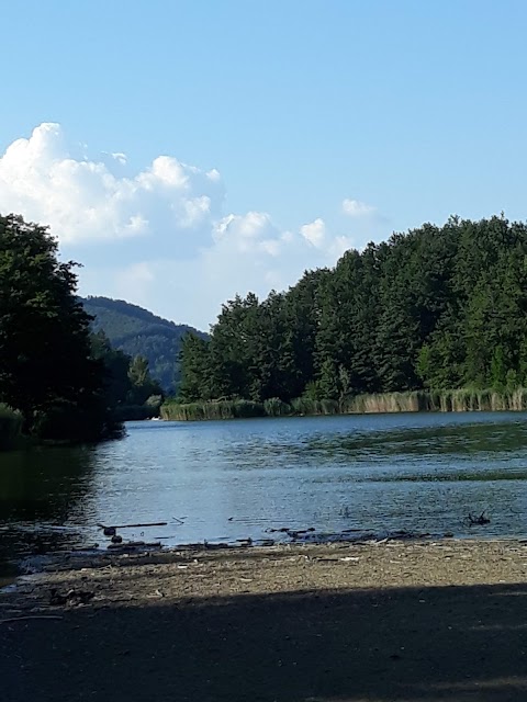 Terrazza Sul Lago