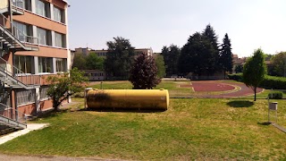 Liceo Scientifico Statale Paolo Frisi