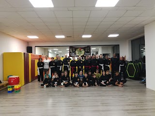 Scuola di Kung Fu, Vo Co Truyen e Difesa Personale | Arti Marziali