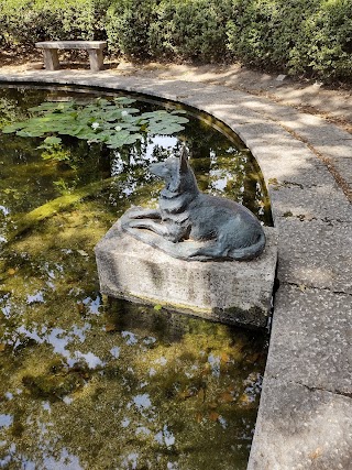 Cimitero dei cani