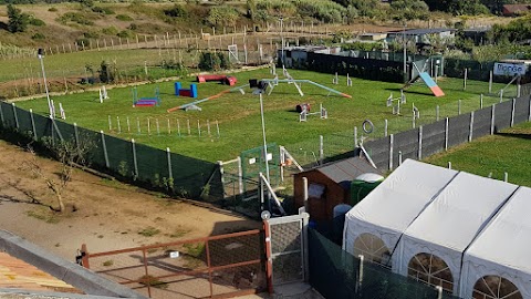 Scuola Addestramento Cani Centro Cinofilo Dinamic Dog A.S.D.