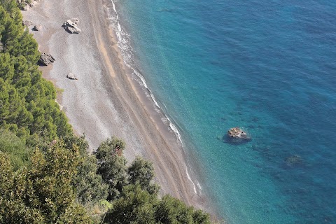 APTours, Amalfi Coast tours, Sorrento and Naples shore excursions.