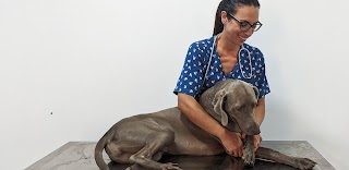 Veterinario Taormina - Roberta Chillemi