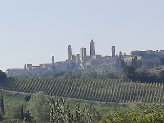 Podere Villuzza